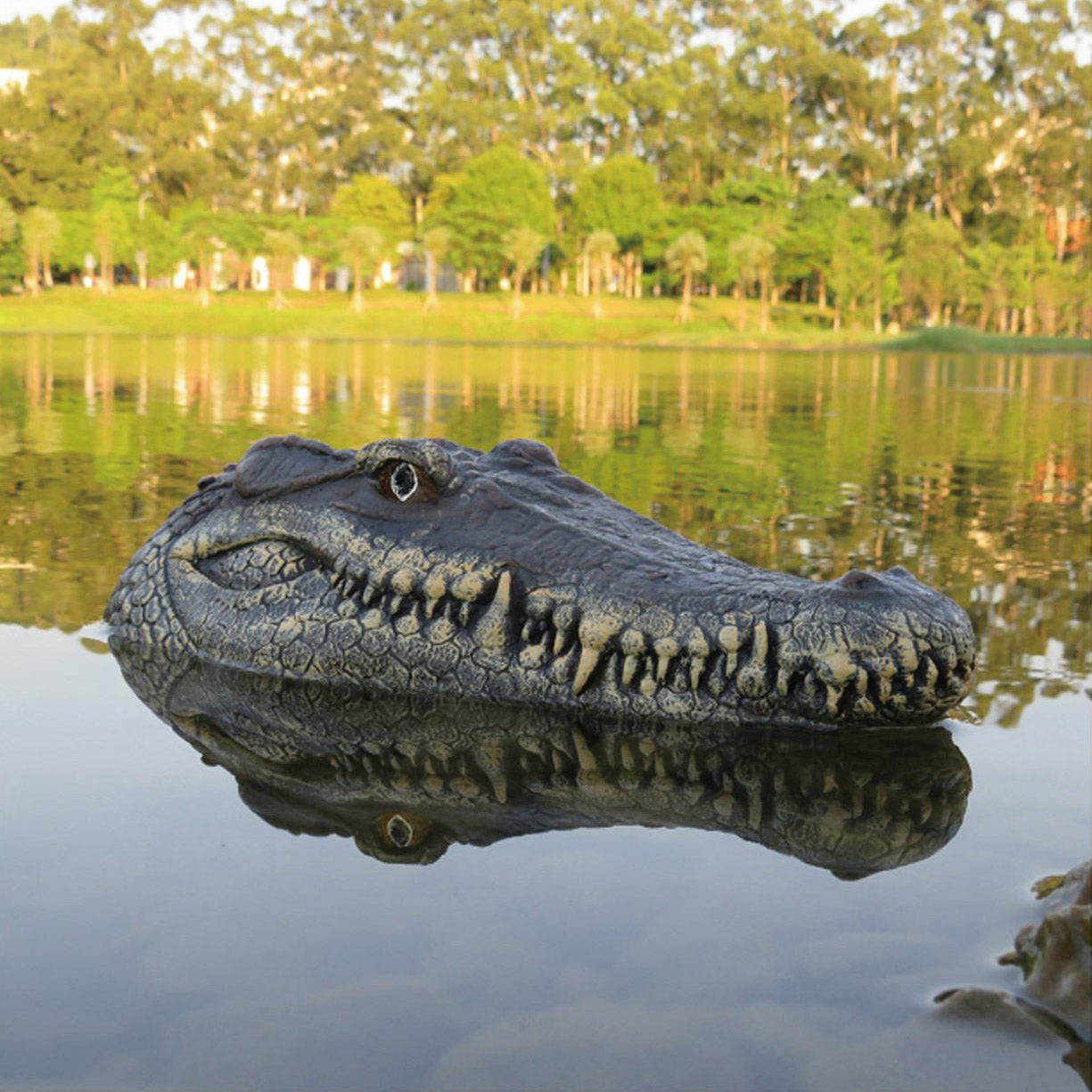 RC Gator Head